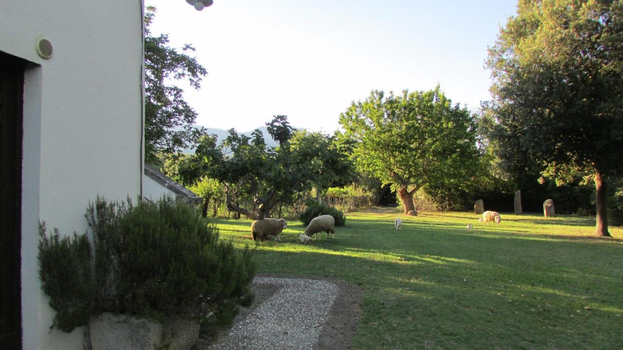 Agriturismo "Borgo Madonna Degli Angeli" - Charming Cottages In The Gardens ! Tocco da Casauria Exterior photo