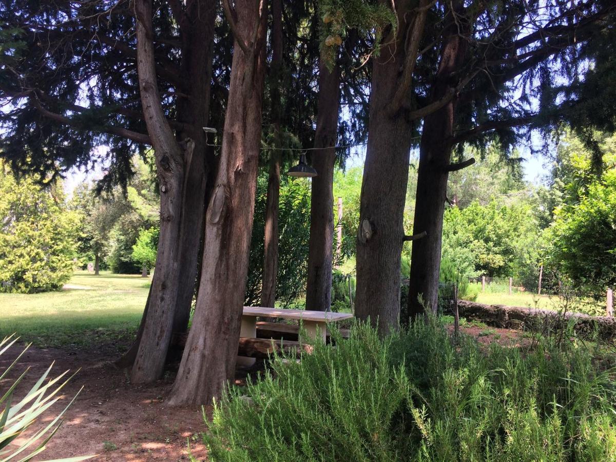 Agriturismo "Borgo Madonna Degli Angeli" - Charming Cottages In The Gardens ! Tocco da Casauria Exterior photo