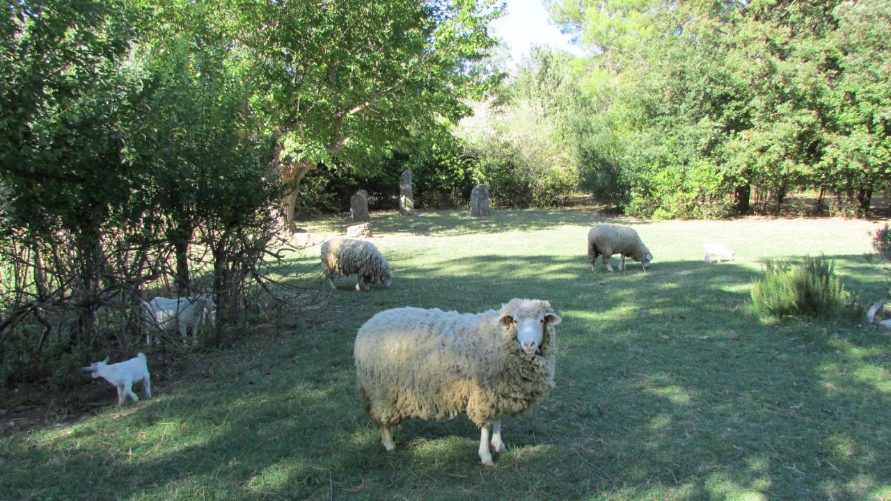 Agriturismo "Borgo Madonna Degli Angeli" - Charming Cottages In The Gardens ! Tocco da Casauria Exterior photo