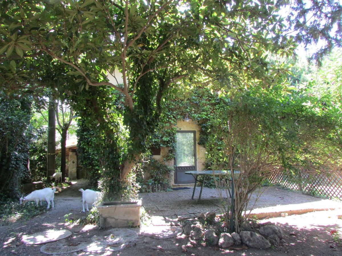 Agriturismo "Borgo Madonna Degli Angeli" - Charming Cottages In The Gardens ! Tocco da Casauria Exterior photo