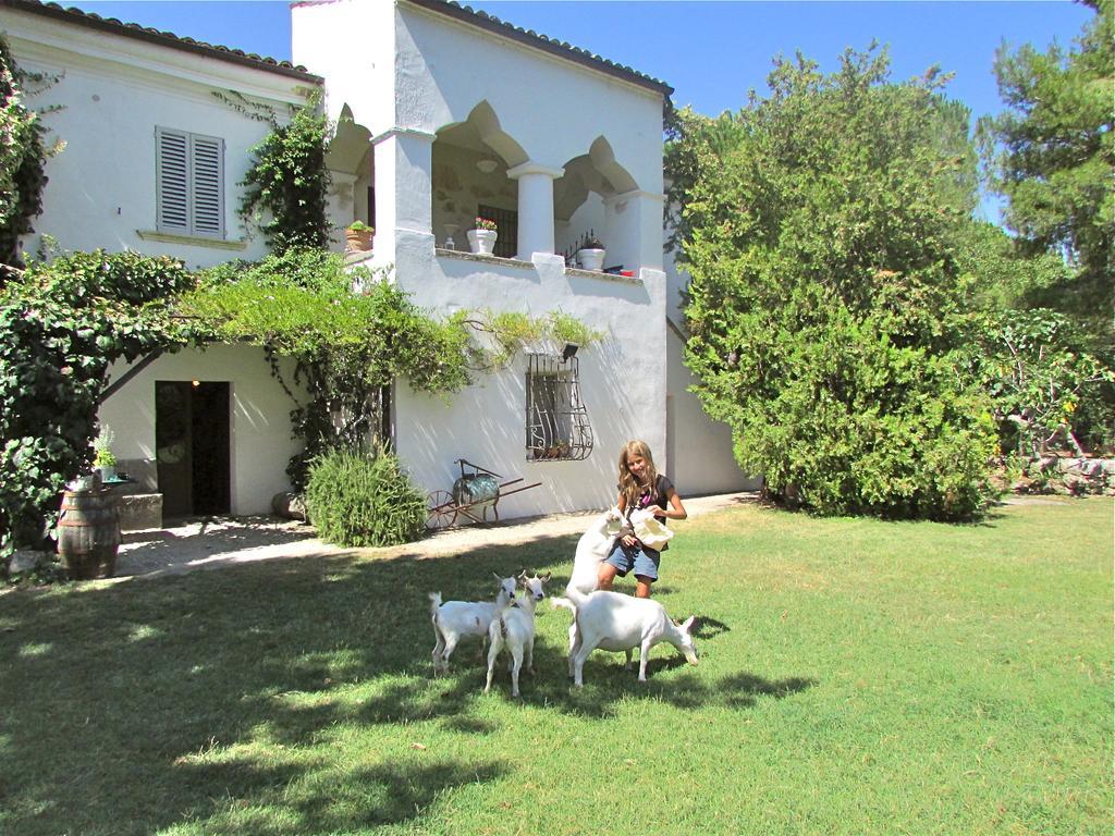 Agriturismo "Borgo Madonna Degli Angeli" - Charming Cottages In The Gardens ! Tocco da Casauria Exterior photo