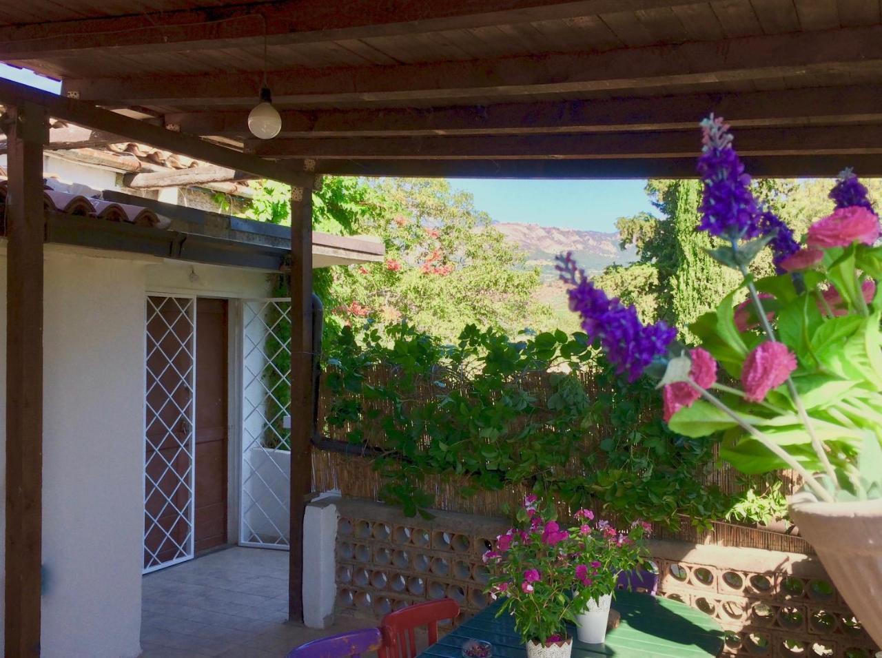 Agriturismo "Borgo Madonna Degli Angeli" - Charming Cottages In The Gardens ! Tocco da Casauria Exterior photo